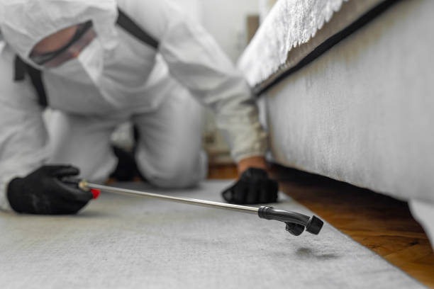 Professional Cockroach Control technician working in Bowman County County, ND